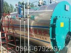 15吨蒸汽燃煤星空官方网页版_星空（中国）