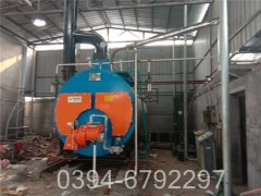 12吨低氮冷凝星空官方网页版_星空（中国）