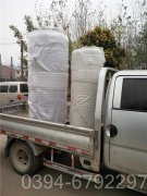 2吨低氮燃气星空官方网页版_星空（中国）