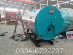 2吨低氮冷凝星空官方网页版_星空（中国）