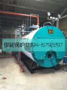 2吨燃气蒸汽星空官方网页版_星空（中国）安装现场